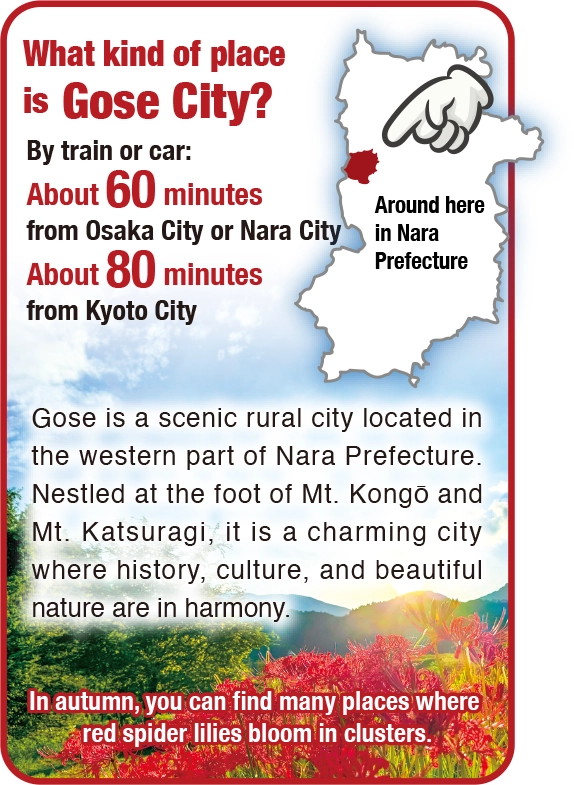 Overview of Gose City